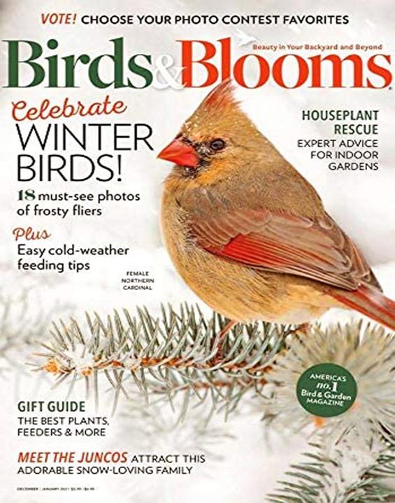 Birds & Blooms Sheryl DeVore Cover