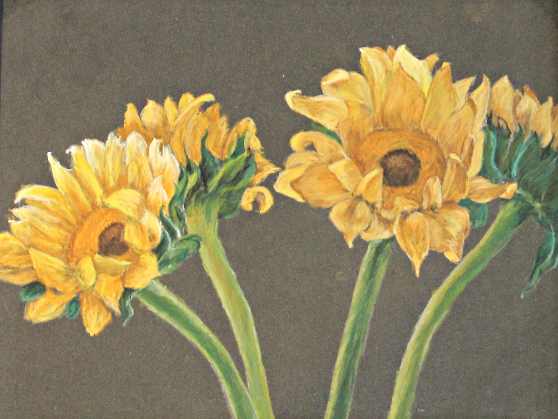 Sunflowers // Nanci Frank // Soft Pastel